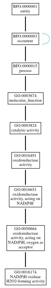 Graph of GO:0016174