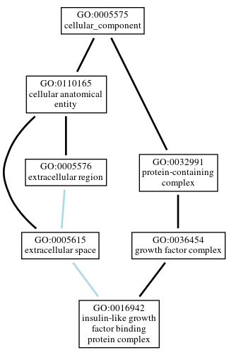 Graph of GO:0016942