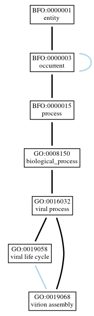 Graph of GO:0019068