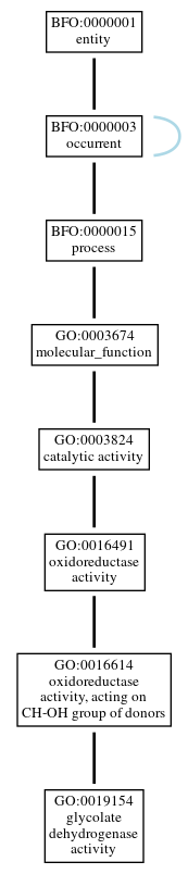 Graph of GO:0019154