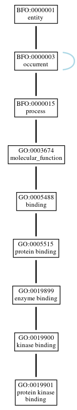 Graph of GO:0019901