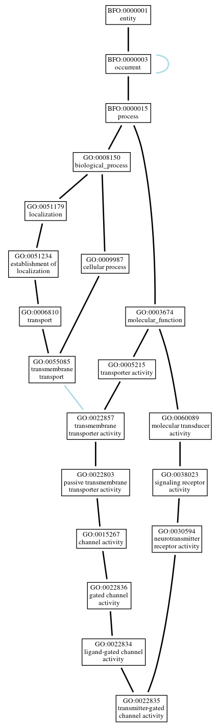 Graph of GO:0022835