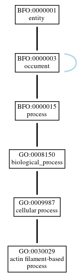 Graph of GO:0030029