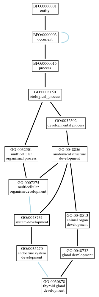 Graph of GO:0030878