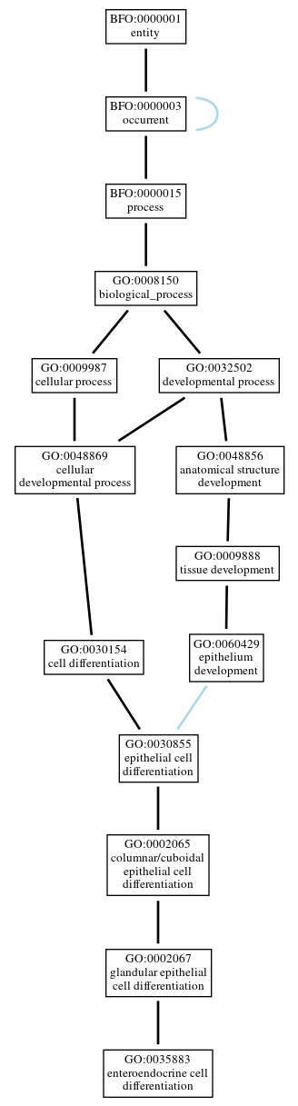 Graph of GO:0035883