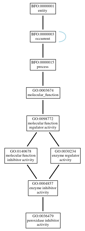 Graph of GO:0036479