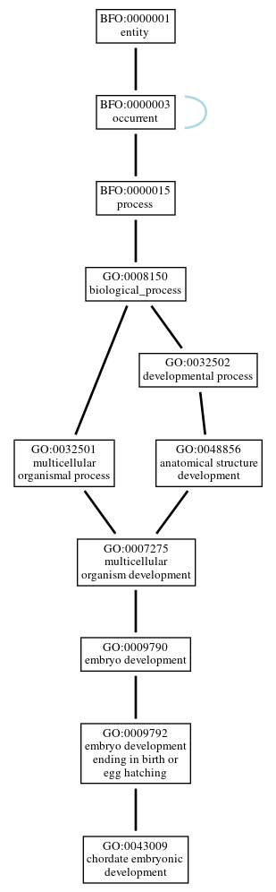 Graph of GO:0043009