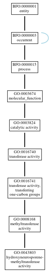 Graph of GO:0043803