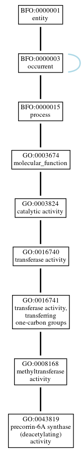 Graph of GO:0043819