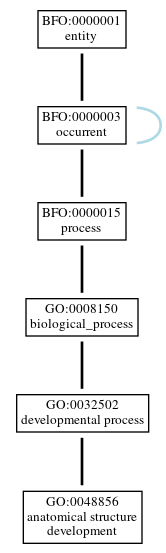Graph of GO:0048856