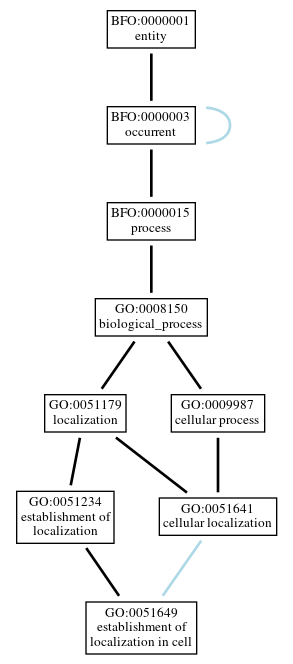 Graph of GO:0051649