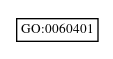 Graph of GO:0060401