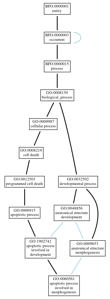 Graph of GO:0060561