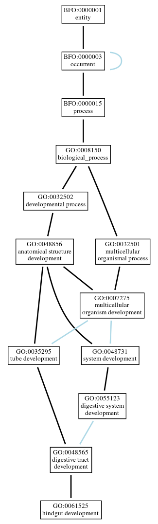 Graph of GO:0061525