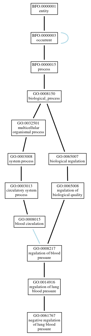 Graph of GO:0061767