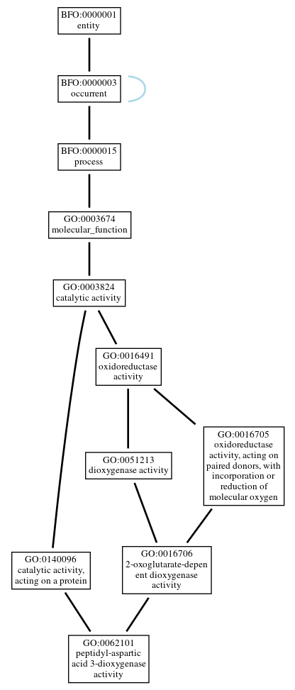 Graph of GO:0062101