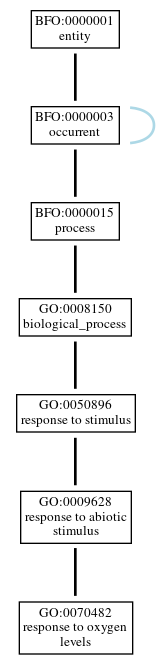 Graph of GO:0070482
