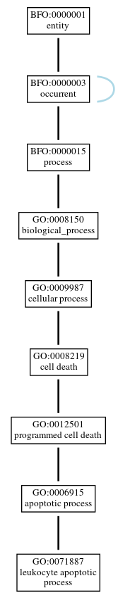 Graph of GO:0071887