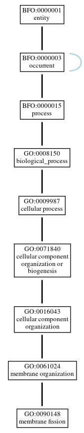 Graph of GO:0090148