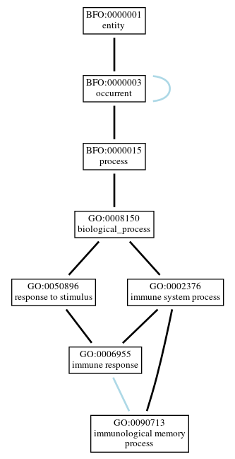 Graph of GO:0090713
