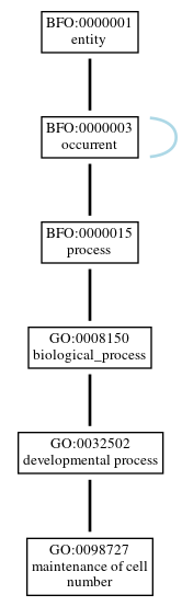Graph of GO:0098727