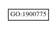 Graph of GO:1900775