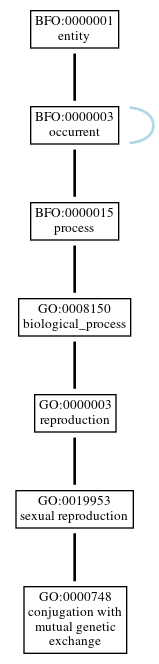 Graph of GO:0000748