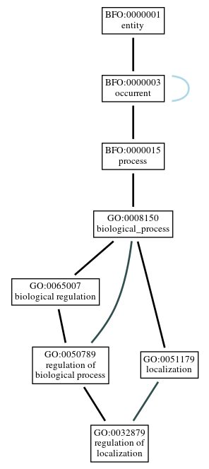 Graph of GO:0032879