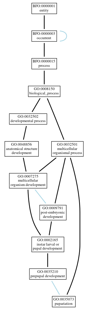 Graph of GO:0035073