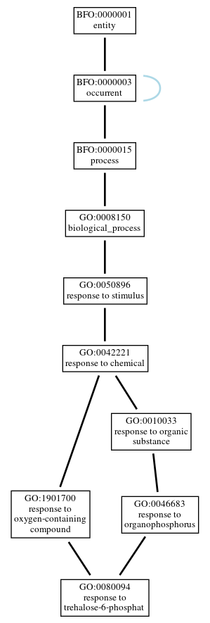 Graph of GO:0080094