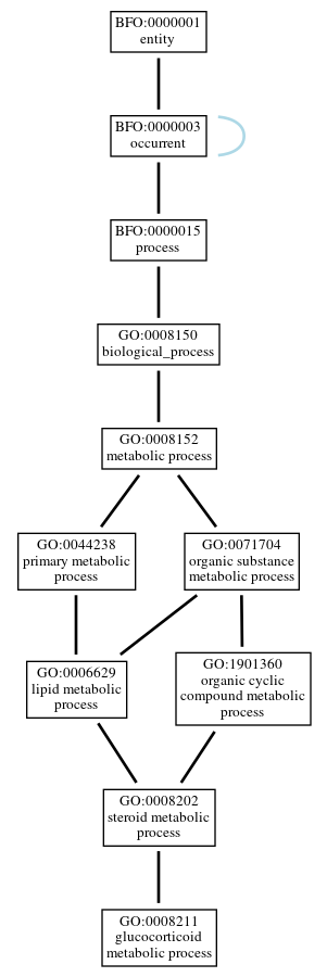 Graph of GO:0008211