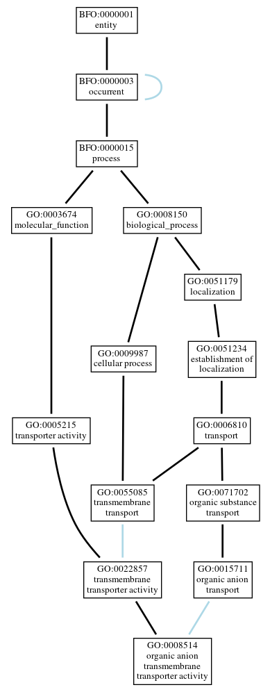 Graph of GO:0008514