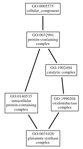 Graph of GO:0031026