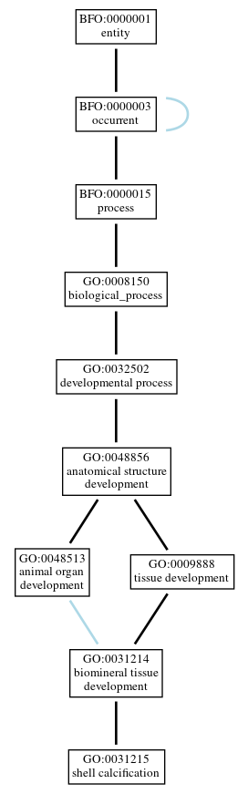 Graph of GO:0031215
