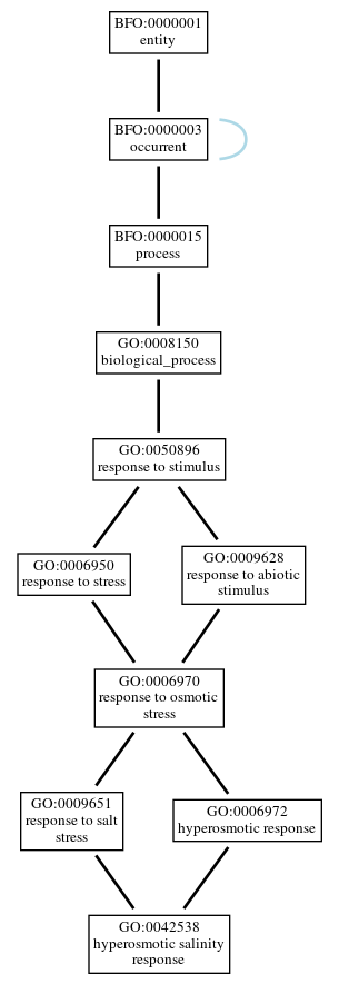 Graph of GO:0042538
