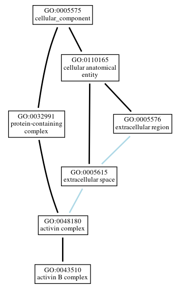 Graph of GO:0043510