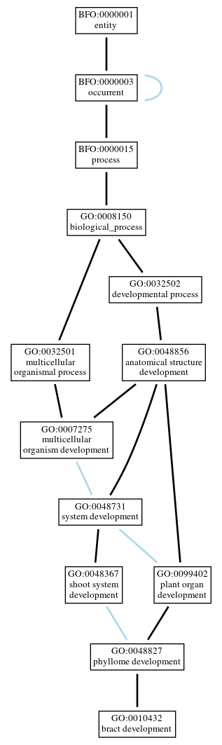 Graph of GO:0010432