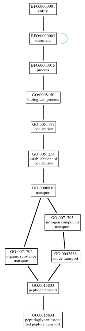 Graph of GO:0015834