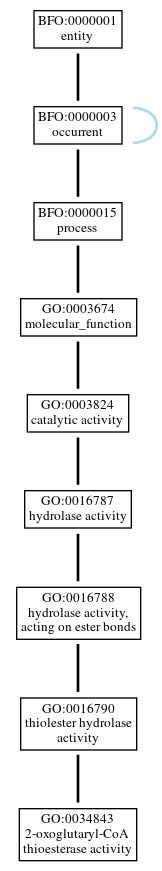 Graph of GO:0034843