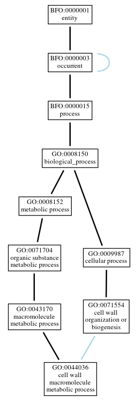 Graph of GO:0044036