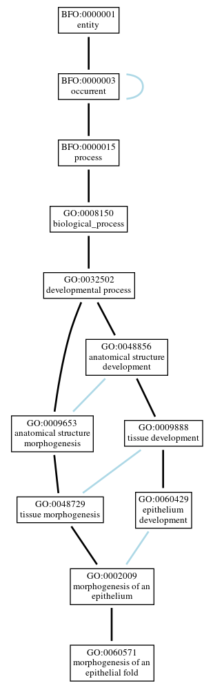 Graph of GO:0060571