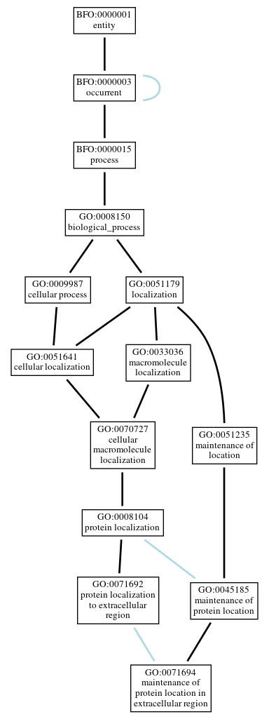 Graph of GO:0071694