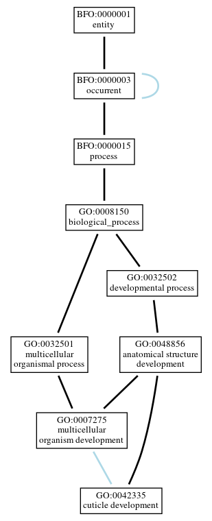 Graph of GO:0042335