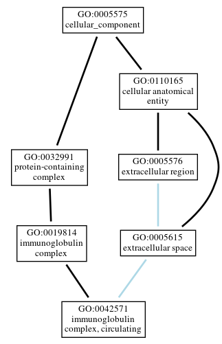 Graph of GO:0042571