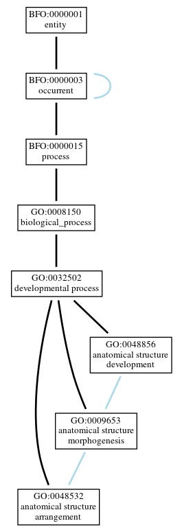Graph of GO:0048532