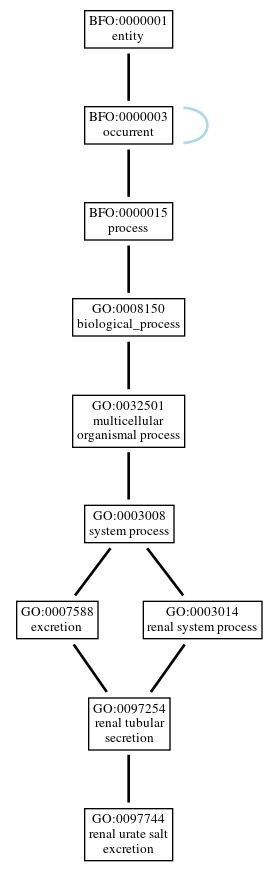 Graph of GO:0097744
