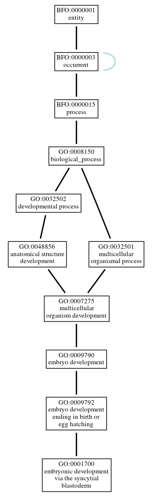 Graph of GO:0001700