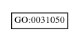 Graph of GO:0031050