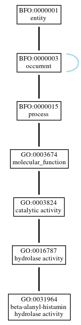 Graph of GO:0031964