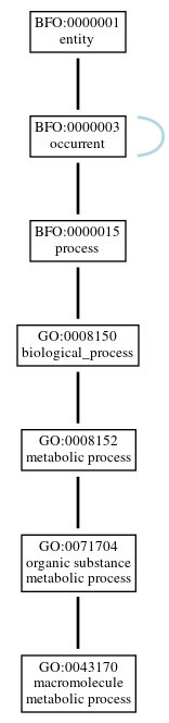 Graph of GO:0043170